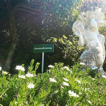Bed and Breakfast il Motto di Tommy Castelveccana Esterno foto