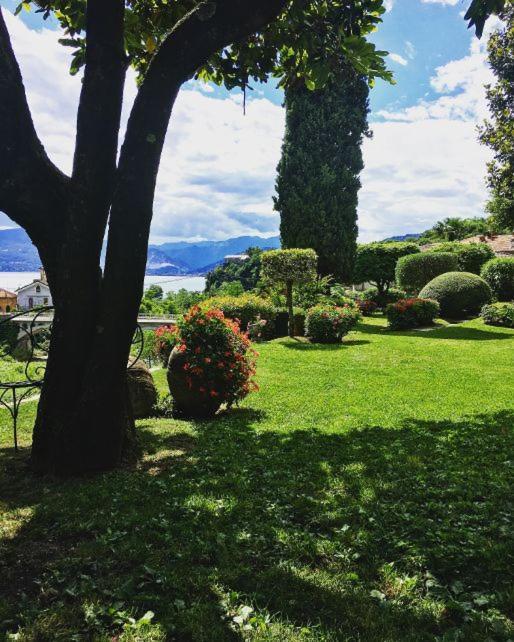 Bed and Breakfast il Motto di Tommy Castelveccana Esterno foto